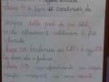 Carm_prim_46