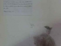 Seano_prim_17
