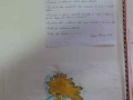 Seano_prim_24