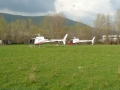 Aquila50