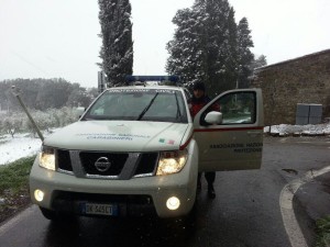 nissan pathfinder neve